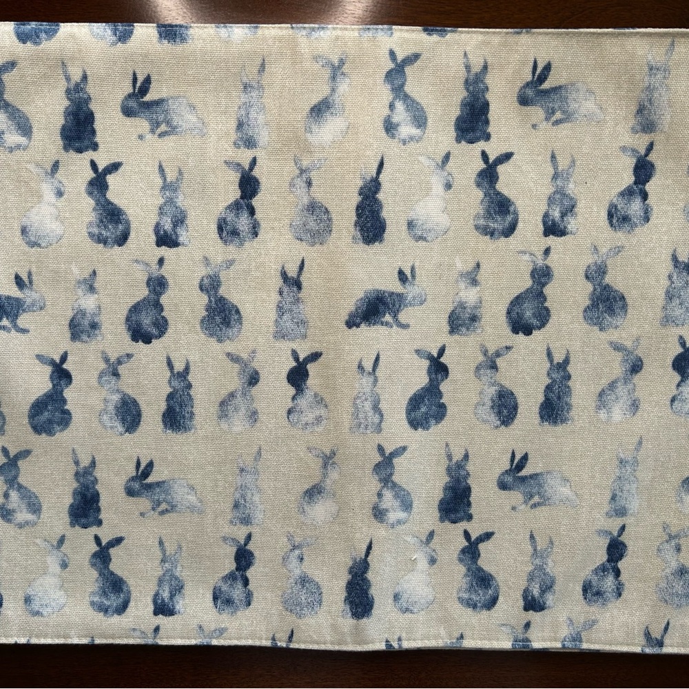 Ellen Degeneres ED Easter Bunny Rabbits Placemats Set of 4